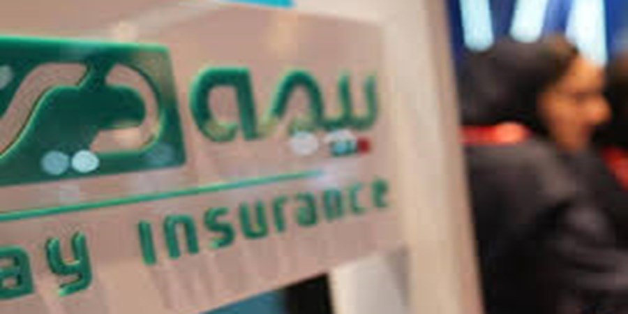 اقتصاد گویا گزارش می دهد/ بیمه دی با صعود معنادار در IMI100 جایگاه خود را در جمع برترین‌ها تثبیت کرد