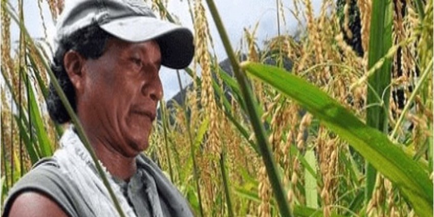 نسخه آمریکایی از صنعت دام و طیور ایران حذف می‌شود