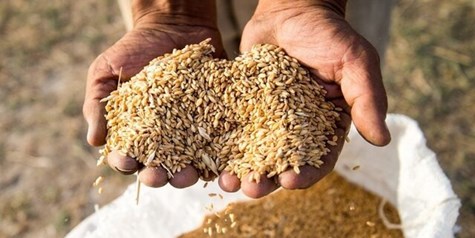 تعیین تکلیف قیمت ۳۱ قلم‌محصول مشمول قیمت گذاری به کجا رسید؟