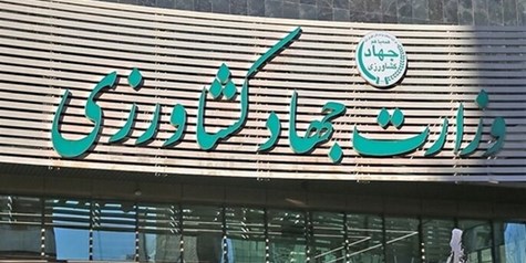 وزارت جهاد کشاورزی ریختن برنج به دریا را تکذیب کرد