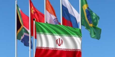 وزیر جهاد کشاورزی برای شرکت در اجلاس بریکس راهی برزیل شد