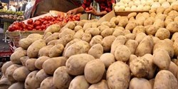 اعلام نرخ رسمی خرید تضمینی سیب‌زمینی و پیاز