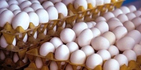 قیمت هرکیلو تخم مرغ برای مصرف کننده ۱۴۵ هزارتومان