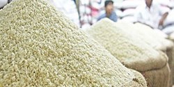 قیمت برنج کاهشی شد/بازار برنج به زودی متعادل می شود