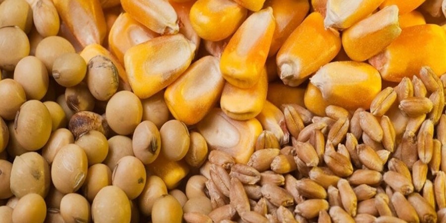 عرضه نهاده‌های دامی به نرخ توافقی در بازارگاه از امروز