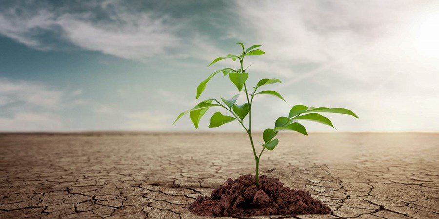 پیشنهادی برای مدیریت بحران آب / عوامل اصلی تهدید امنیت غذایی چیست؟