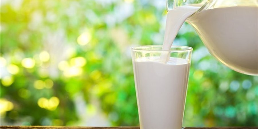 قیمت جدید شیر خام از امروز وارد مرحله اجرا می شود