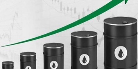 قیمت نفت صعودی شد