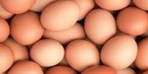 قیمت تخم مرغ باید متعادل باشد؛ نه گران نه ارزان