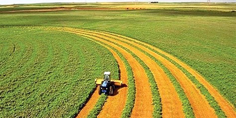 اصلاح مصوبه الگوی کشت به کجا رسید؟