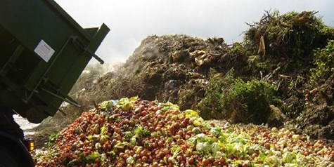 توسعه مکانیزاسیون کلید کاهش ضایعات و پایداری امنیت غذایی