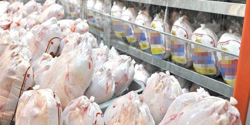 کاهش قیمت مرغ ادامه دارد/ عرضه مرغ در بازار زیر نرخ مصوب