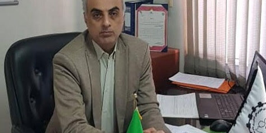 واردات میلیاردی گوشت قرمز، راه‌حل یا مانع تولید داخلی؟