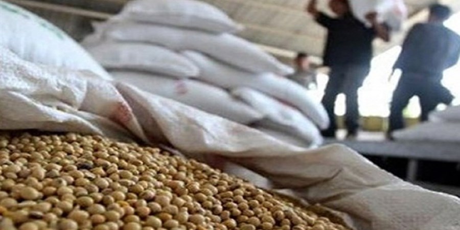 کاربرد فناوری هسته‌ای در جلوگیری از فساد سویا در انبار