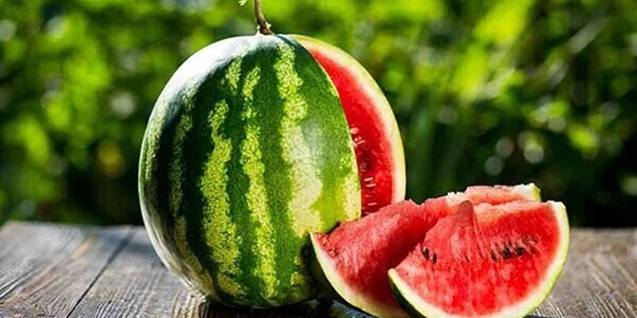 می‌توان بوته هندوانه را به کدو پیوند زد