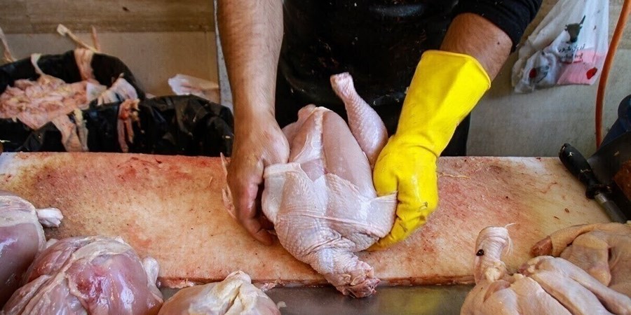 مشکلی برای تامین مرغ ایام ماه رمضان نداریم