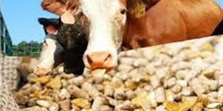 ایجاد مجدد رانت 50هزار تومانی در ارز واردات نهاده