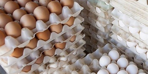 محدودیتی در خرید حمایتی تخم مرغ نداریم
