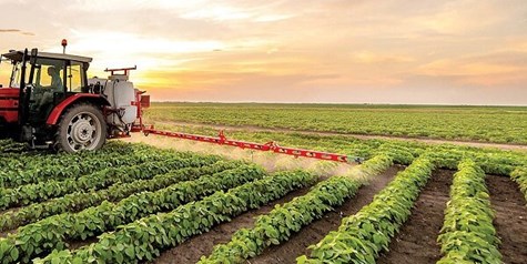 صادرات ۶.۲ میلیارد دلاری کشاورزی در ۱۴۰۲/ واردات گندم نصف شد