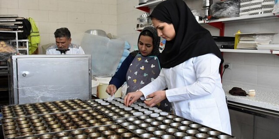 بودجه مشاغل خانگی بیشتر می‌شود