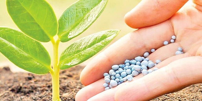 تدوین الگوی کشت اراضی باغی برای نخستین بار