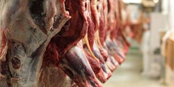 کاهش قیمت گوشت طی یک هفته گذشته/ ذخایر گوشت واردتی و تولیدی کشور بالا است