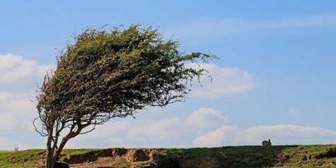 پیش‌بینی رگبار باران و وزش باد شدید در نیمی از کشور