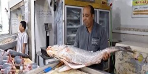 بازار ماهی فروشان بندرعباس یکی از مراکز عرضه ماهی در هرمزگان است.