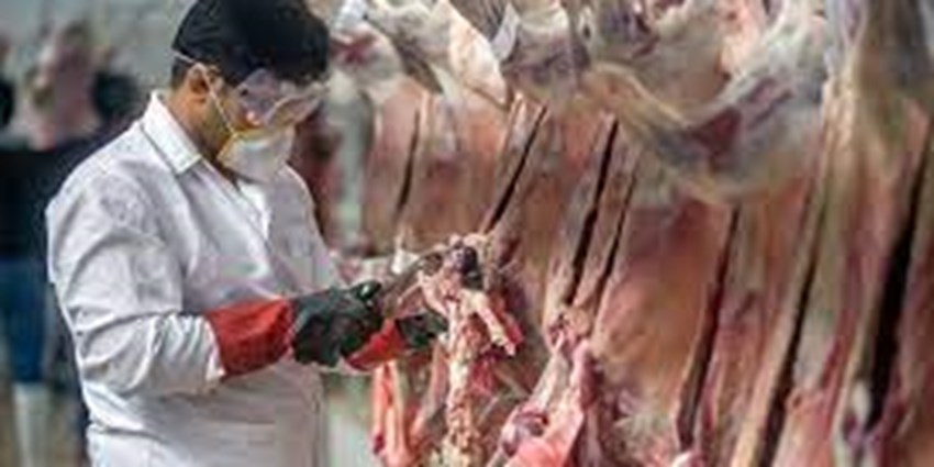 تقدیر از سوت‌زن پرونده کشتار و فروش گوشت غیرمجاز