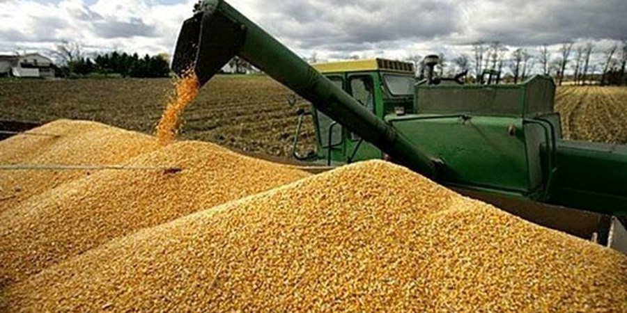 ایران امسال چقدر گندم خرید؟