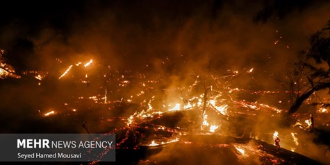عکس - آتش‌سوزی پارک ملی کرخه