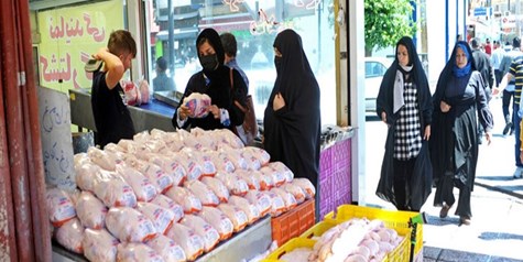 ماجرای نوسانات مجدد قیمت محصولات پروتئینی در بازار چیست؟