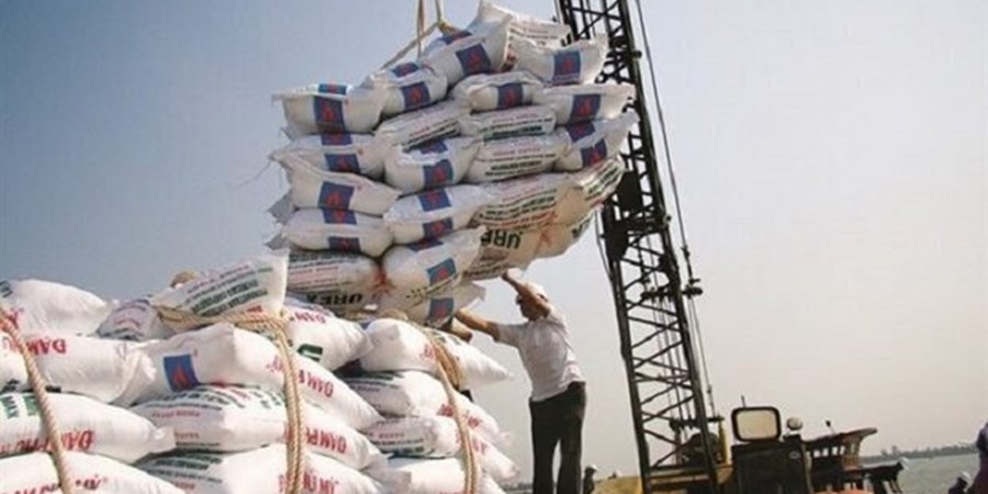 درخواست انجمن برنج از دولت: ساماندهی بازار را در اولویت بگذارید