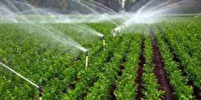 بیش از ۴۰۰ هزار حلقه چاه فاقد پروانه در بخش کشاورزی داریم