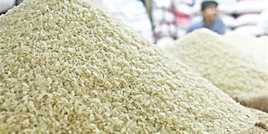 خشکسالی نیمی از برنج امسال را وارداتی کرد