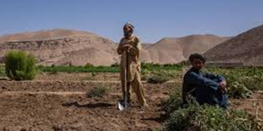 مرجع رسمی حساب‌های ملی و رشد اقتصادی فقط مرکز آمار ایران است
