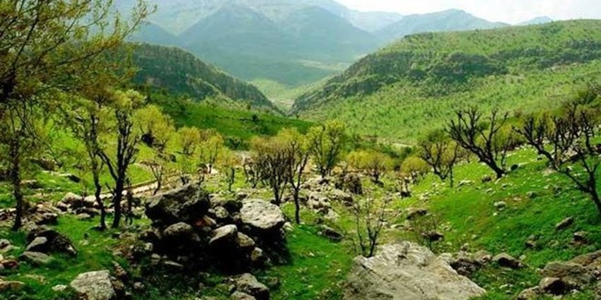 روز جهانی تنوع زیستی؛ حفاظت از طبیعت، کلید امنیت غذایی آینده