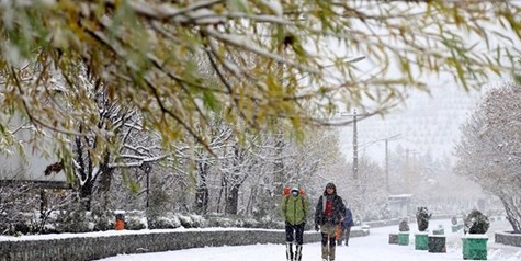 بارش برف شهر کرمانشاه را سفیدپوش کرد