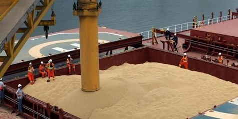 مشکل تامین ارز نهاده‌ها و کالا‌های اساسی به زودی حل می‌شود