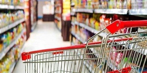 کمبود نهاده دامی عامل اصلی افزایش لجام گسیخته محصولات لبنی و پروتئینی