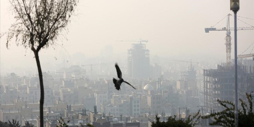 فیلم- منشا آلودگی هوای هرساله کجاست