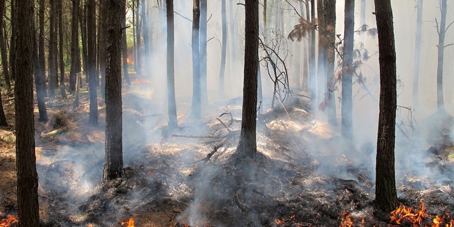 دستور ویژه برای اطفای حریق در چالوس